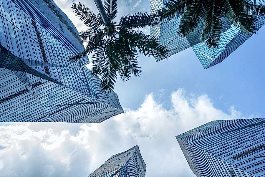 Dubai'de Şirket Kurmak 2 dubai'de şirket kurmak için gerekli şartlar